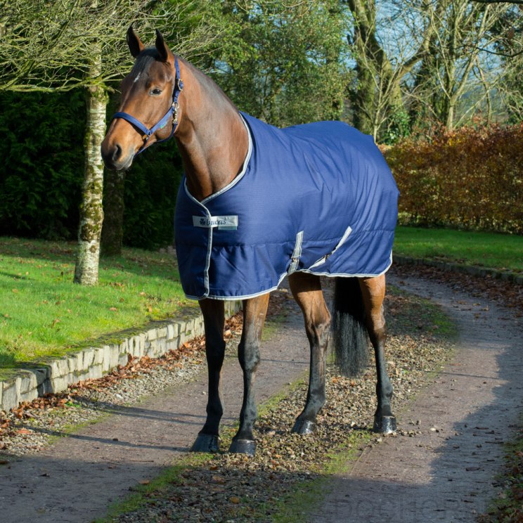 Bucas Freedom Staldeken 150 grams navy