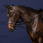 Dy'on Hulpteugel Howlett - Working