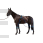 Equine legcooler 