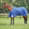 Weatherbeeta Comfitec Premier Free Lite