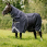 Rambo Optimo Turnout Plus