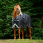 Rambo Winter Rug 1680D 100g Black