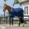 Amigo Summer Sheet Navy