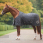Back on Track staldeken Millie 100 gram