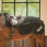 Back on track riding rug