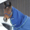 Bucas smartex turnout combi neck
