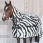 Bucas Buzz Off Zebra