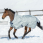 Bucas Power Turnout Light High Neck