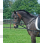 Busse side-reins rings-elastic