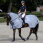Bucas buzz off riding