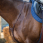 Dy'on Martingale New English
