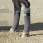 Eskadron Stable Bandages