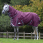 Weatherbeeta Comfitec Plus Dynamic + Hood Lite