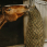 Hippotonic hooinet zwart lang