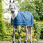 Horseware Ionic Therapy Liner 50G