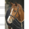 Penelope Point Sellier Bridle Black