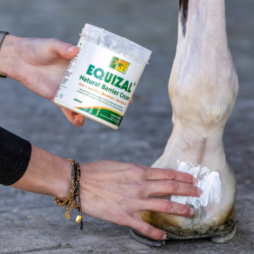 Trm equizal
