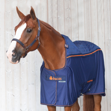 Bucas Therapy Pony
