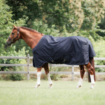 Dominick Outdoor Rug 2023 350GR
