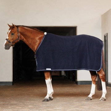 Dominick Wool Rug