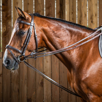 Dy'on Draw Reins Leather Grip 'Working'