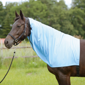 Busse Sweetitch Hood Zip