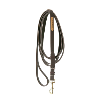 Kentucky stallion lead 
