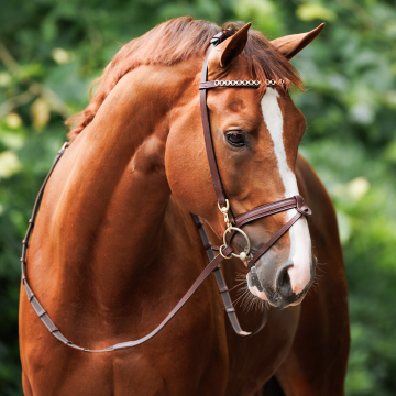 NIBAGO WORKING BRIDLE brown size COB