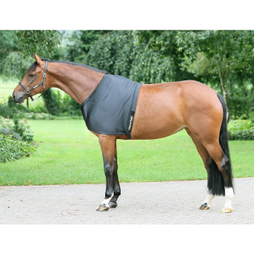 Back on track shoulder protector Back on track shoulder protector
